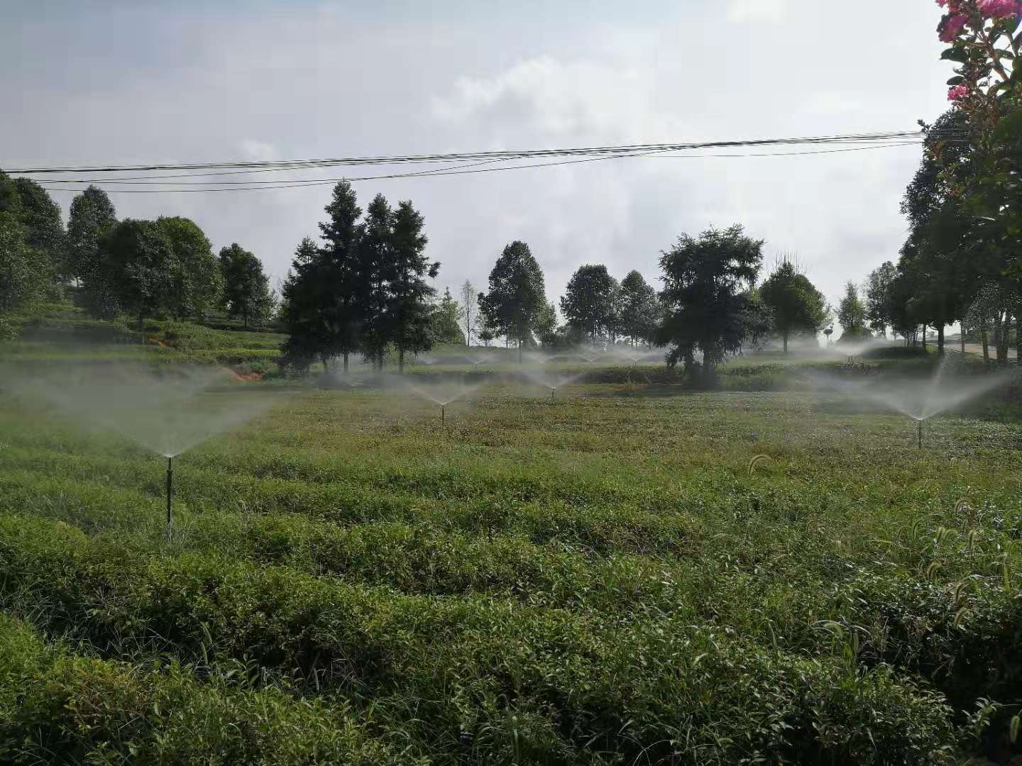 湖南農(nóng)業(yè)水肥一體化灌溉,湖南別墅庭院智能灌溉,長(zhǎng)沙沁園灌溉有限公司,湖南足球場(chǎng)噴灌,長(zhǎng)沙足球場(chǎng)噴灌,足球場(chǎng)噴灌,足球場(chǎng)灌溉,長(zhǎng)沙足球場(chǎng)灌溉,湖南足球場(chǎng)灌溉